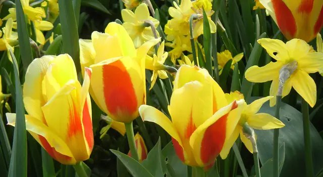 Foto: Iris Alefelder