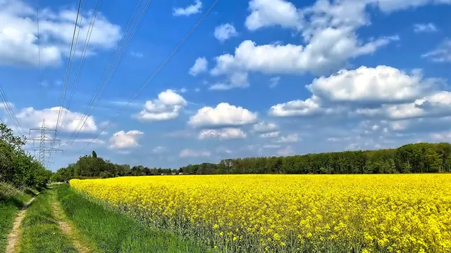 Foto: copyright Margot Klütsch