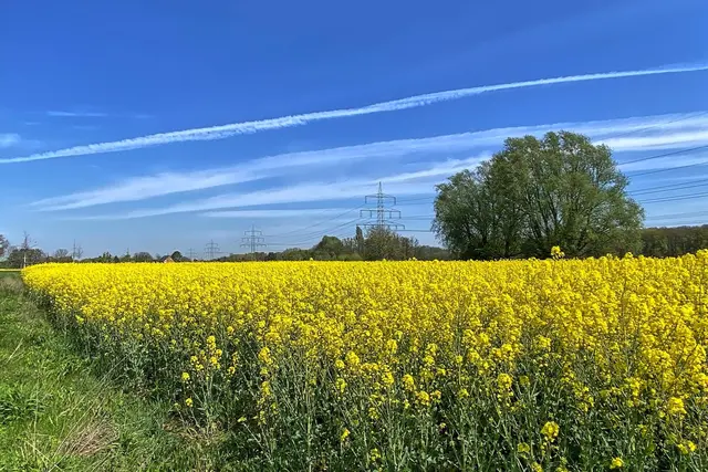 Foto: copyright Margot Klütsch