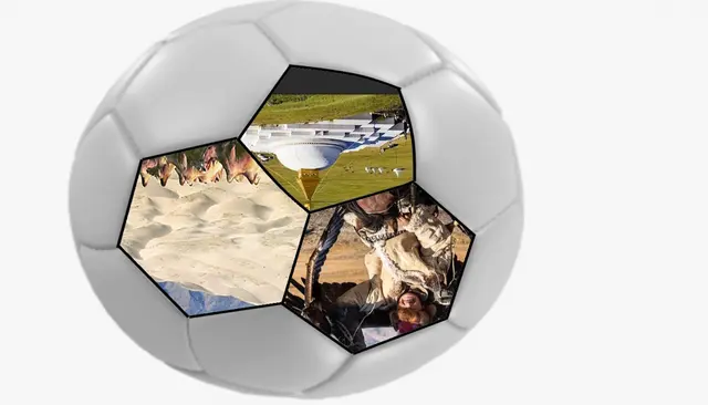 Iris - 1 Punkt - Mongolei