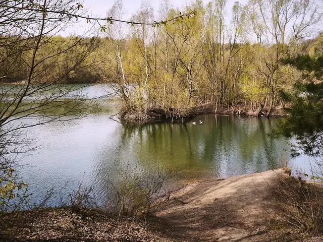 Idylle in der Nähe von Brelingen | Foto: Shima Mahi