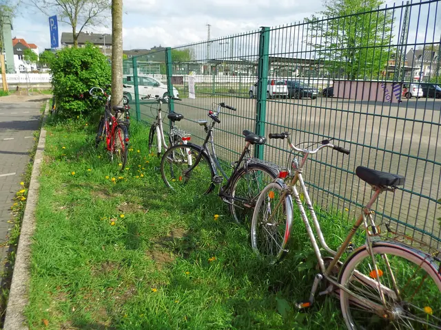 Fahrräder auf Grünstreifen, an einem Baum fest angeschlossen, sowie am Gitterzaun angelehnt. Ort: Parkplatzanlage Hauptbahnhof Wesel.  | Foto: Siegmund Walter, 16.04.2026, 16:14 Uhr