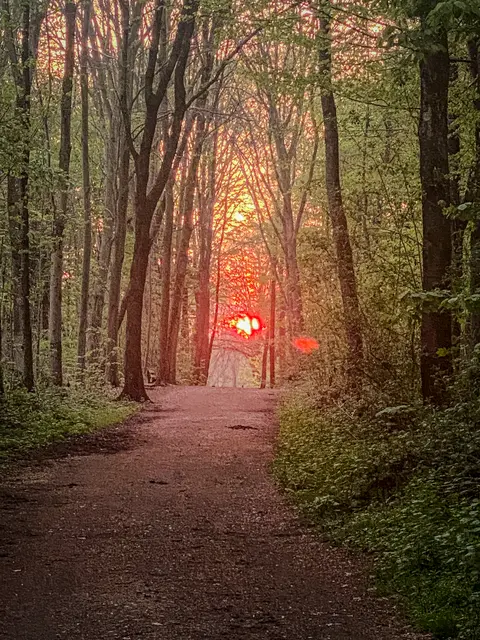 #SpringIsHere 2026

Abends im Wald, Mystisch und Geheimnisvoll | Foto: Christoph Niersmann 
