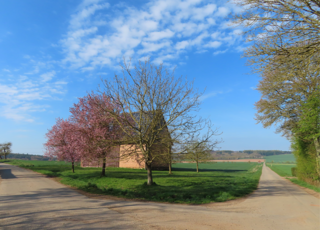 Gute Frage: Welchen der beiden Wege wollen wir nehmen? | Foto: M. A.