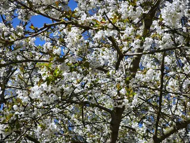 Im Stadtpark Langenhagen | Foto: Shima Mahi