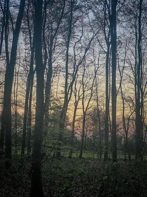 #SpringIsHere 2026

Abends im Wald, Mystisch und Geheimnisvoll | Foto: Christoph Niersmann 