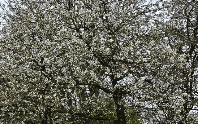 Einfach nur ein voller Genuss | Foto: Shima Mahi