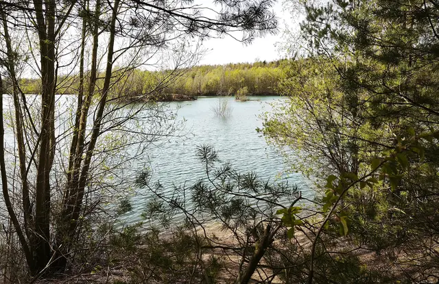 Von Menschen angelegt und von der Natur selbst so wunderschön gestaltet. | Foto: Shima Mahi