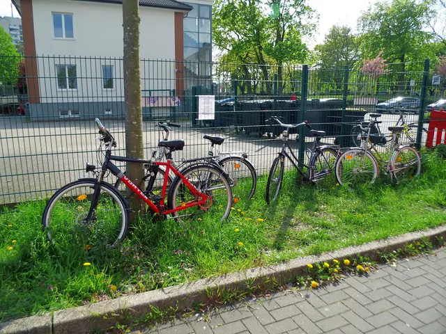 Fahrräder auf Grünstreifen, an einem Baum fest angeschlossen, sowie am Gitterzaun angelehnt. Ort: Parkplatzanlage Hauptbahnhof Wesel. Beschriftetes DIN A4 Papierblatt der Stadt Wesel mit Aufklärungshinweis. (siehe Bildmitte)  | Foto: Siegmund Walter, 16.04.2026, 16:13 Uhr