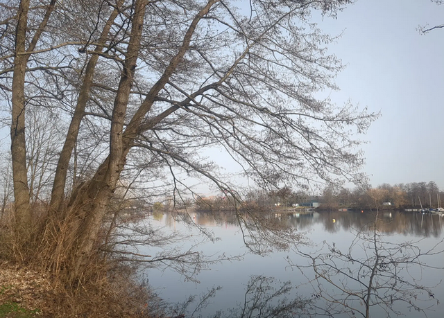 Masurensee Duisburg | Foto: Astrid Günther