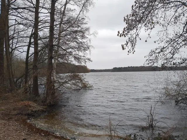 Der Wolfssee im Winter | Foto: Astrid Günther