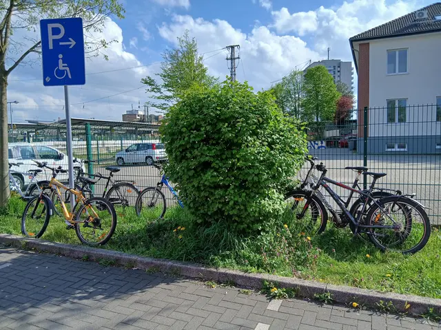 Fahrräder auf Grünstreifen, fest am Schildrohrmast angeschlossen sowie am Gitterzaun angelehnt.  Ort: Parkplatzanlage Hauptbahnhof Wesel. | Foto: Siegmund Walter, 16.04.2026, 16:25 Uhr