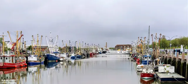 Foto: ©Rainer Bresslein