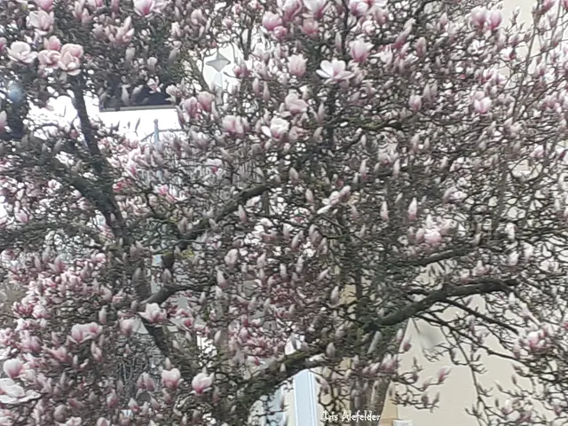 Bad Füssing | Foto: Iris Alefelder