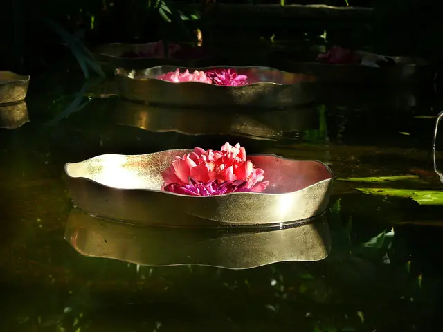 Sonderausstellung im Berggarten: Pflanzen aus Südostasien