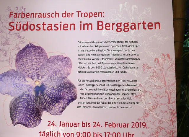 Sonderausstellung im Berggarten: Pflanzen aus Südostasien