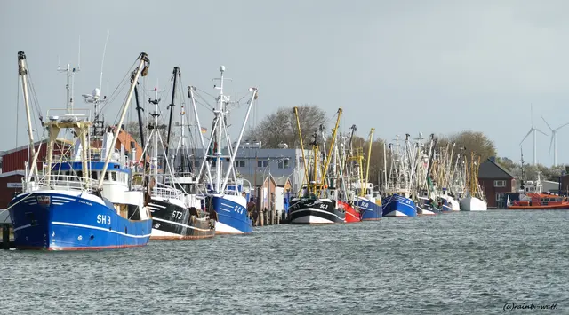 Der Büsumer Hafen beheimatet mittlerweile die größte Fischkutter-Flotte an der Nordseeküste. | Foto: ©Rainer Bresslein - Wattenscheid
