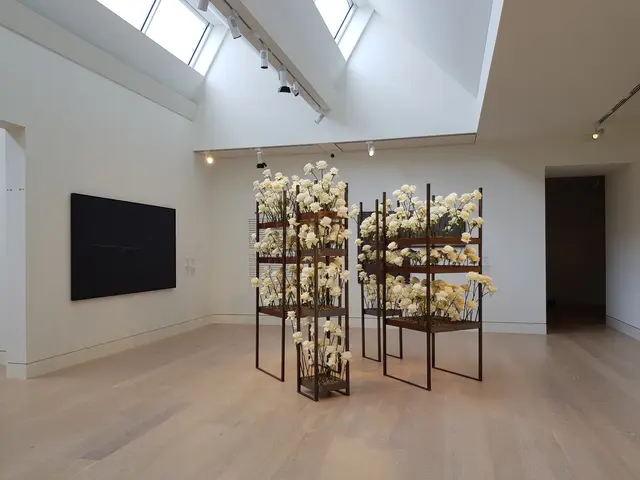 "Reduktion: Farbe und Form" von Michael Frings, Tannendiele, Palastblühen 2026 im Kunstpalast in Düsseldorf