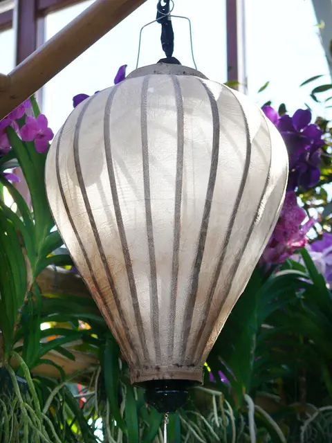 Sonderausstellung im Berggarten: Pflanzen aus Südostasien