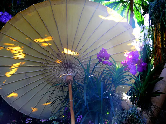 Sonderausstellung im Berggarten: Pflanzen aus Südostasien