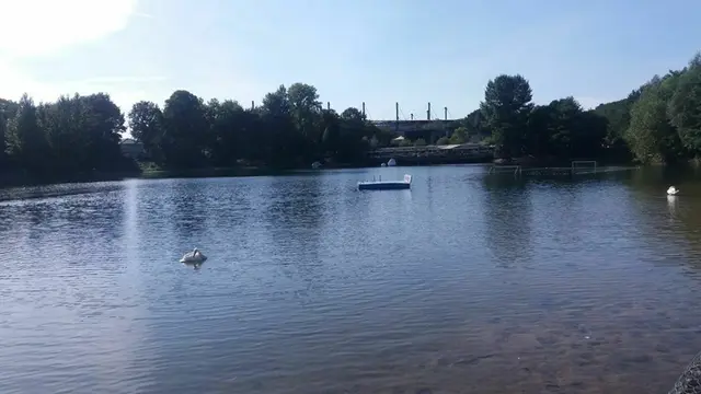 Lasst uns zur Badeinsel schwimmen.  | Foto: Astrid Günther