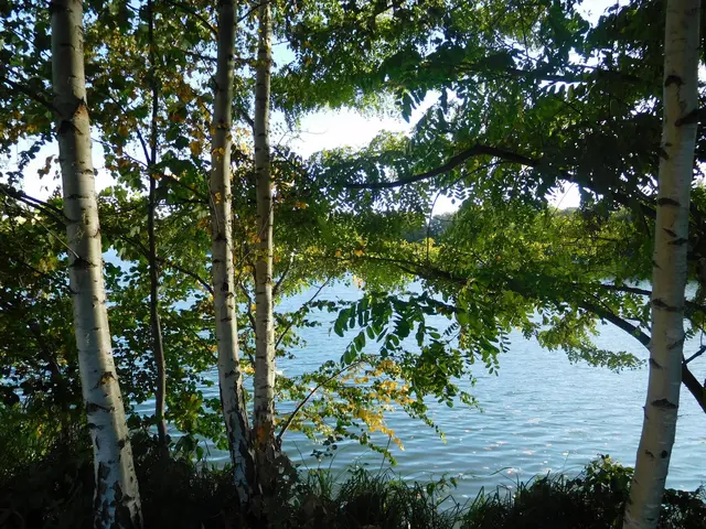 Am Ufer des Bertasee | Foto: Astrid Günther