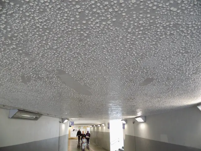 Baustelle Bahnhof Wesel - Starke Schwitzwasserbildung an der Decke des noch zugänglichen Teils der Personenunterführung | Foto: Siegmund Walter, 26.03.2026, 13:07 Uhr