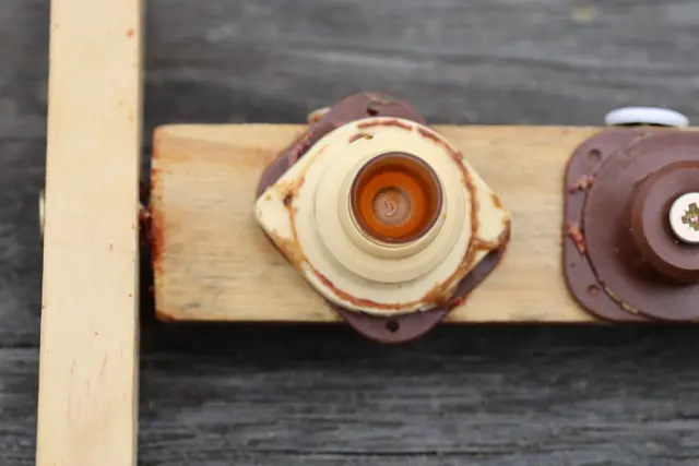 Larve einer Bienenkönigin