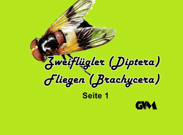 Foto: GvMeegen