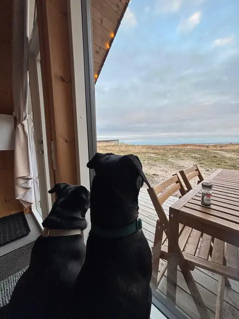 Blacky - auf Reisen | Foto: privat
