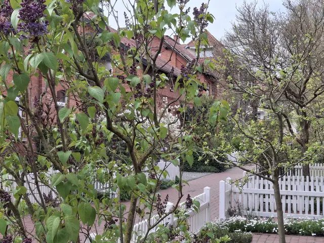 Foto-Impressionen ...