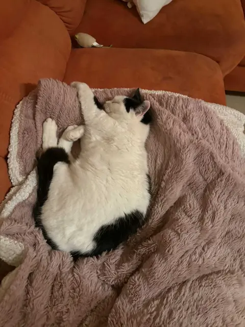 Sissi | Foto: privat