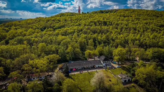 Foto: Freie Schwimmer Rheinkamp 