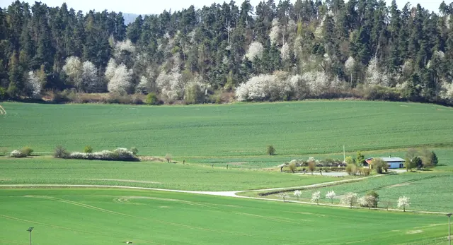 Blick auf das Anglerheim und den Seeberg 