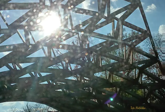 Foto: Iris Alefelder