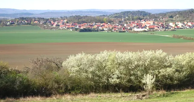 Börnecke vom Weinberg aufgenommen
