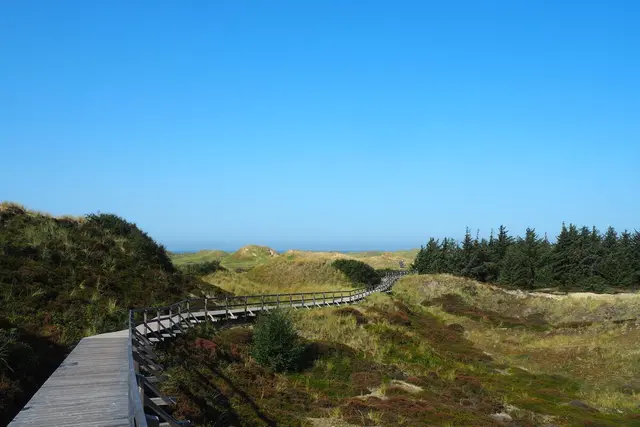 Bohlenwege auf Amrum | Foto: Astrid Günther