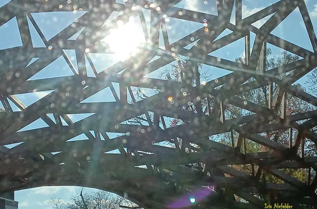 Foto: Iris Alefelder