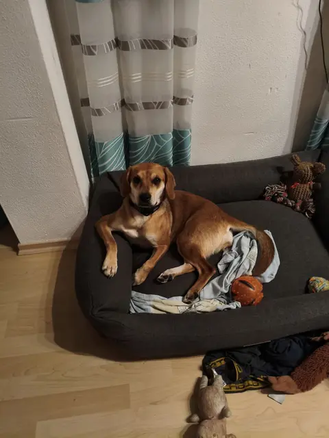 Lola | Foto: privat