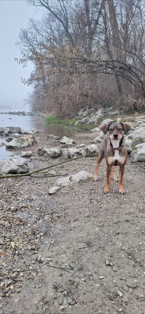 Ellen - jetzt Frieda | Foto: privat