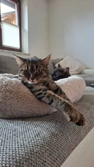 Cleo | Foto: privat