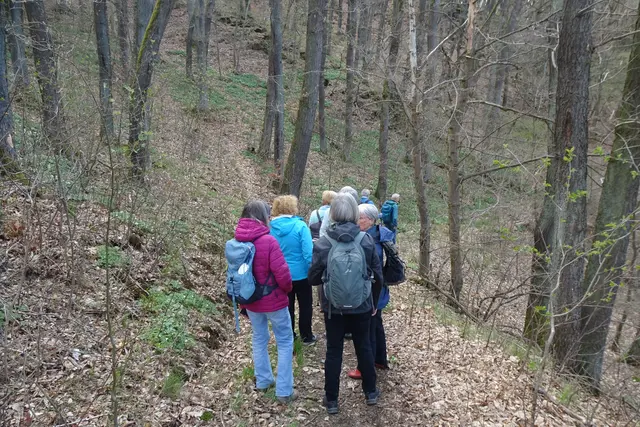 Wandergruppe auf dem Wanderweg am Kärstenberg 