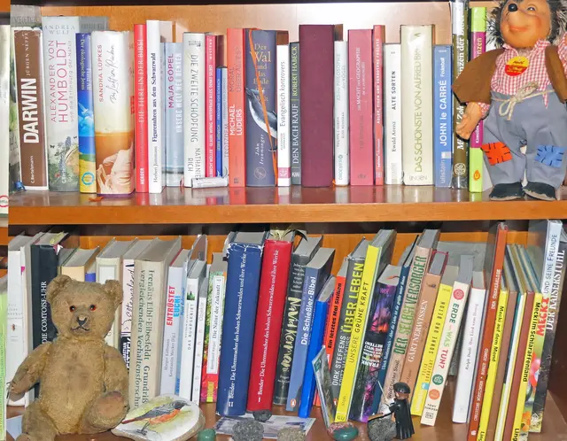 Ordnung im Bücherschrank ist nicht so meins. Nur ich weiß, wo welches Buch (ungefähr) steht. :-)