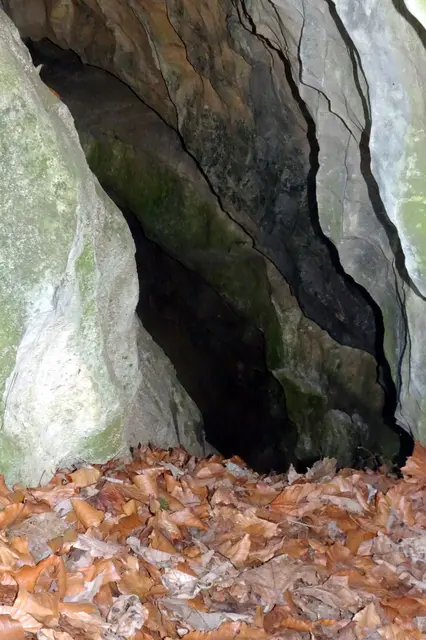 Blick in den Karsthöhleneingang an der Kalkröste