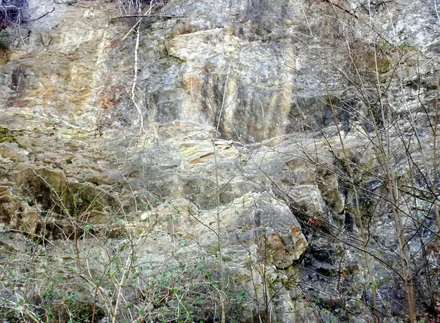 Kalksteinfelsen an der Kalkröste