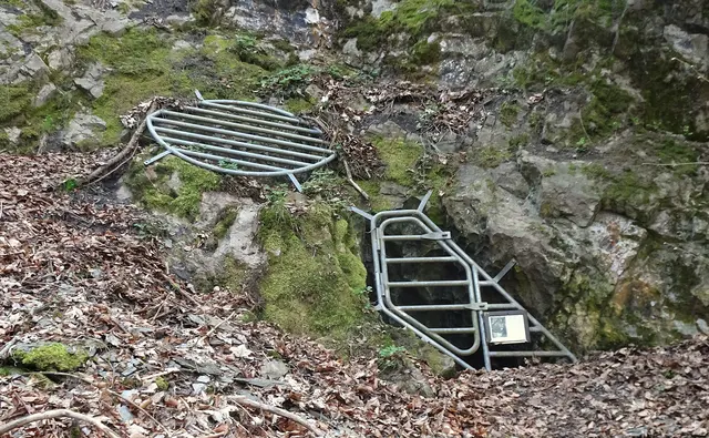 Eingang zur Karsthöhle Kalkröste