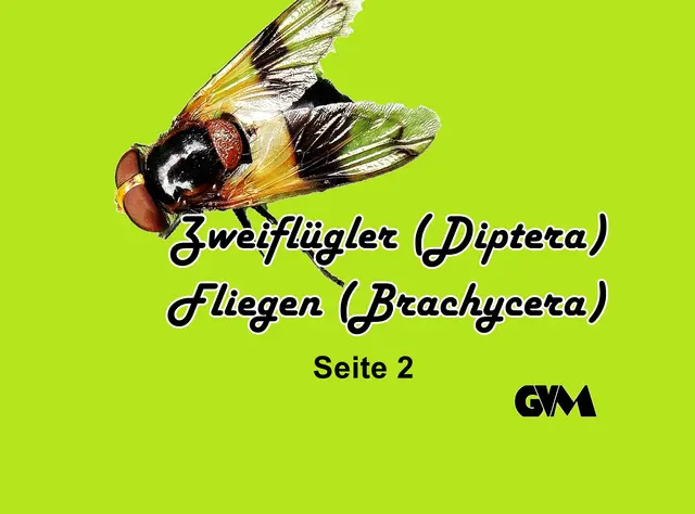 Foto: GvMeegen