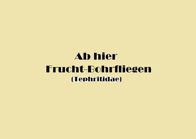 Foto: GvMeegen