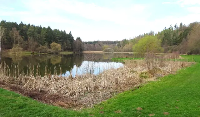 Mönchteich