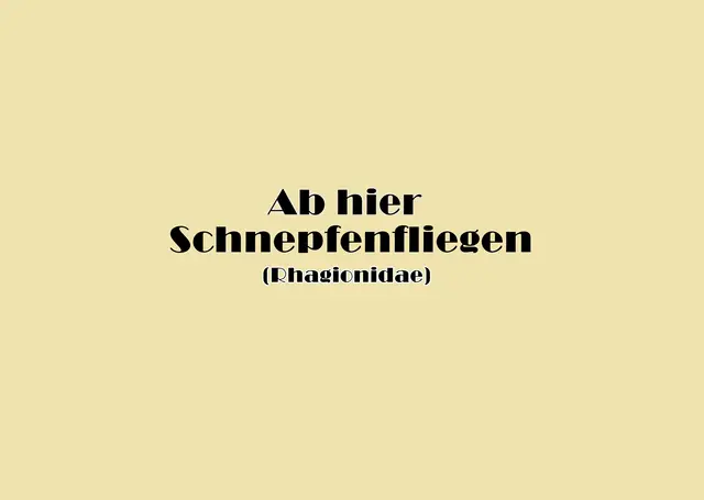 Foto: GvMeegen